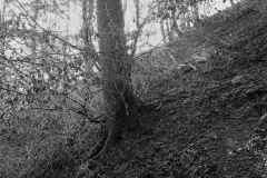 Vincent-Hardi-2025-04-3