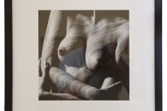 024_5II6442