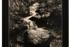 077_5II6391