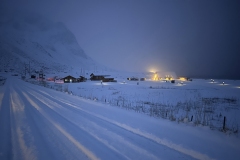 Bruno-van-Haute-2026-02-01