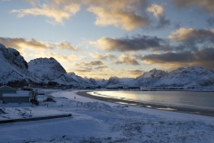 Bruno-van-Haute-2026-02-02