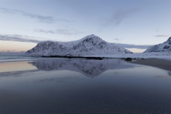 Bruno-van-Haute-2026-02-03