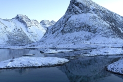 Bruno-van-Haute-2026-02-05