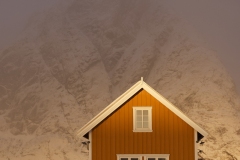 Bruno-van-Haute-2026-02-06