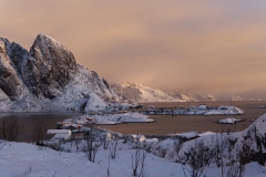 Bruno-van-Haute-2026-02-08