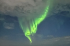 Bruno-van-Haute-2026-02-09