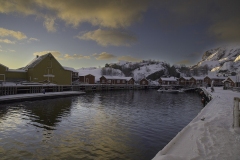 Bruno-van-Haute-2026-02-11