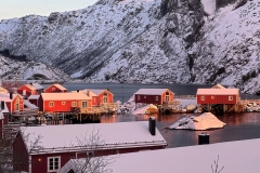 Bruno-van-Haute-2026-02-12