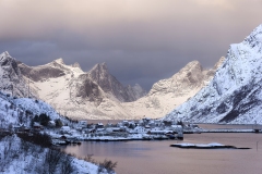 Bruno-van-Haute-2026-02-15