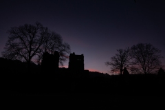 Marie-Helene-Branders-2026-02-1