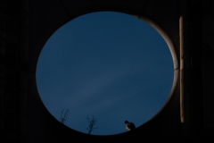 Marie-Helene-Branders-2026-02-2