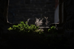 Marie-Helene-Branders-2026-02-3