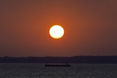 Michael-Haulotte-2026-02-01