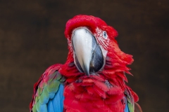 Michael-Haulotte-2026-02-03