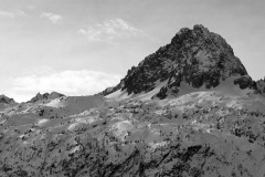 Vincent-Hardi-2026-02-02