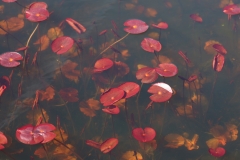 Quentin-Oldenhove-2026-04-3