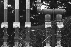 Vincent-Hardi-2026-04-3