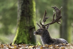 Eric-Bonnet-2025-12-2