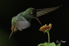 Eric-Bonnet-2025-12-3