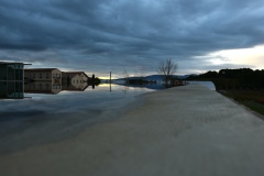 Laurence-Scutnaire-2025-12-2