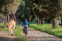 Marie-Helene-Branders-2025-11-1