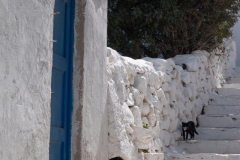 Marie-Helene-Branders-2025-11-2