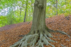 Michael-Haulotte-2025-12-1