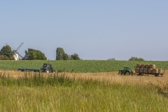 Michael-Haulotte-2025-12-3