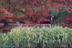 Quentin-Oldenhove-2025-11-3