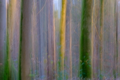 FrancoisMirabelle-20260109-1