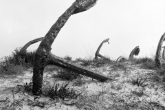 Vincent-Hardi-2025-12-2