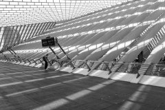 Laurence-Scutnaire-2026-05-1