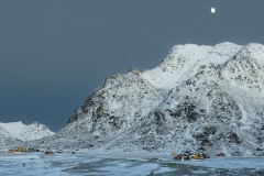 Bruno-van-Haute-2026-03-1