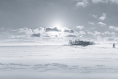 Jacques-Delince-2026-03-1