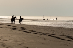 Laurence-Scutnaire-2026-03-1