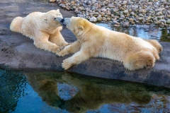 Michael-Haulotte-2026-03-3