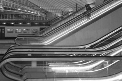 Vincent-Hardi-2026-03-1