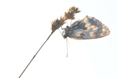 Philippe-Emplit-2026-10-3
