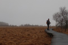 4411eef9-79e7-481c-b465-e9394cf30a6b